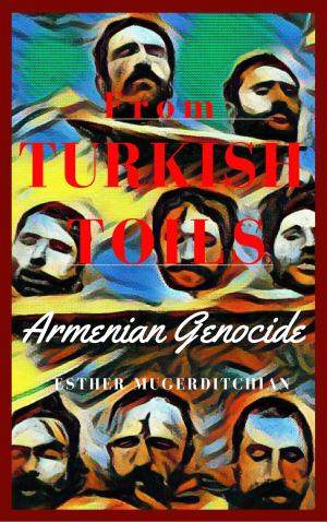 Cover of From Turkish Toils