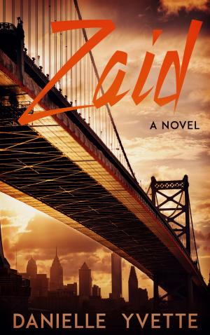 Cover of the book Zaid: A Novel by Kurt Boone
