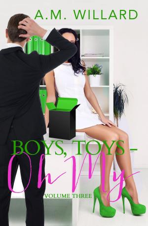 Cover of Boys, Toys - Oh My! Volume 3