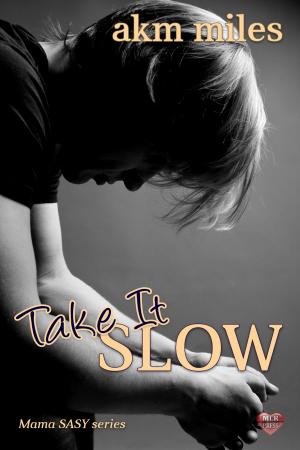 Cover of the book Take It SLOW by James Buchanan