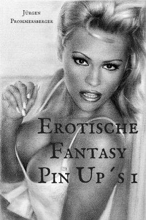 Cover of the book Erotische Fantasy Pin Up´s 1 by Alex P