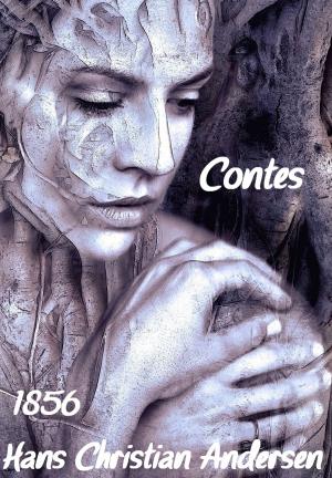 Cover of the book Contes by Amy Engle