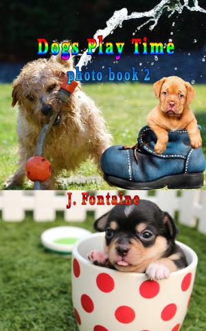 Cover of the book Dogs Play Time by Bonnie Jo Davis