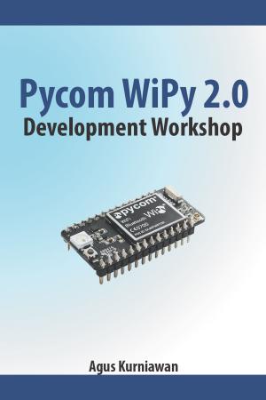 Book cover of Pycom WiPy 2.0 Development Workshop