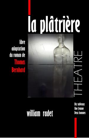 Book cover of La plâtrière