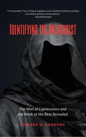 Cover of the book IDENTIFYING THE ANTICHRIST by Judy Salisbury