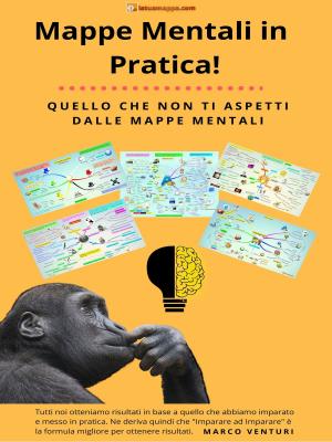 Cover of the book Mappe Mentali in Pratica - Anteprima by Werner Rettig