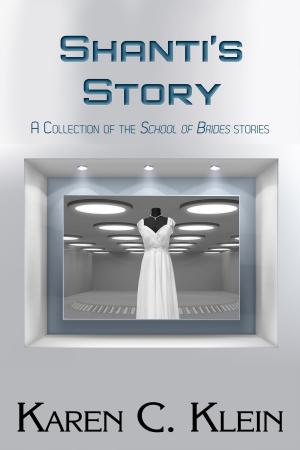 Book cover of Shanti's Story