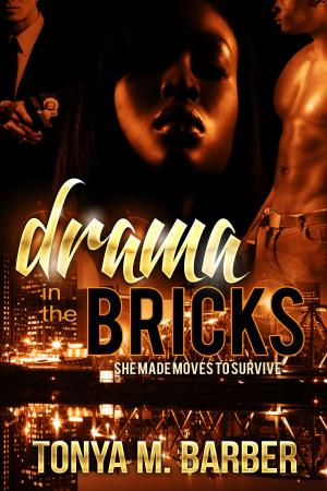 Cover of Drama In The Bricks