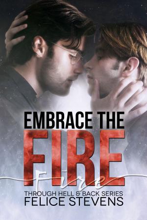 Cover of the book Embrace the Fire by Caldon Mull