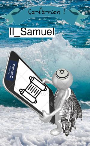 Book cover of Shmuel II