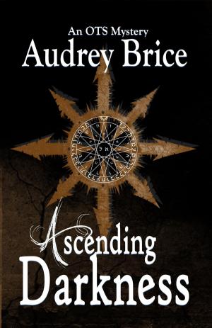 Cover of the book Ascending Darkness by Audrey Brice