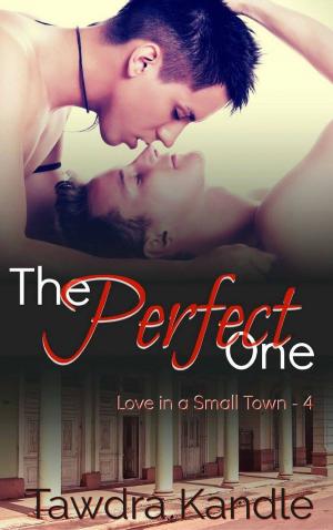 bigCover of the book The Perfect One by 