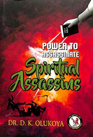 Cover of the book Power to Assassinate the Spiritual Assassins by Richard Case