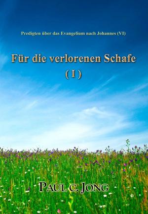 Book cover of Predigten über das Evangelium nach Johannes (VI) - Für die verlorenen Schafe (I)