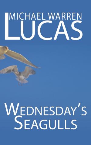 bigCover of the book Wednesday's Seagulls by 
