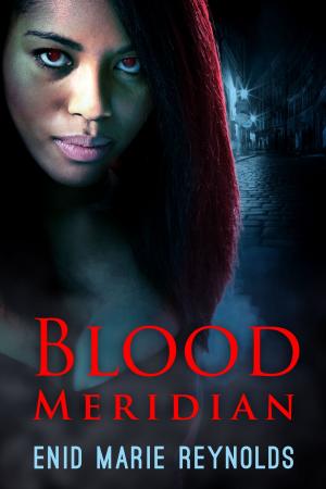 Cover of the book Blood Meridian by Allen J. Crom