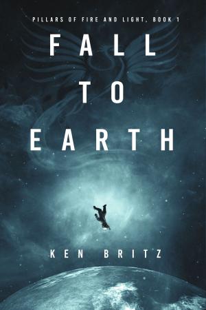 Cover of the book Fall to Earth by Daniel A. Roberts