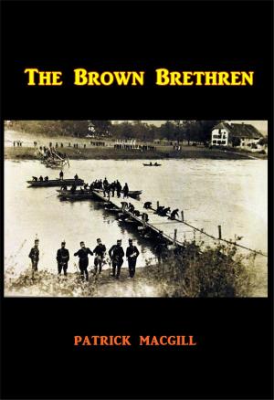 Cover of the book The Brown Brethren by Roy E. Bean Jr