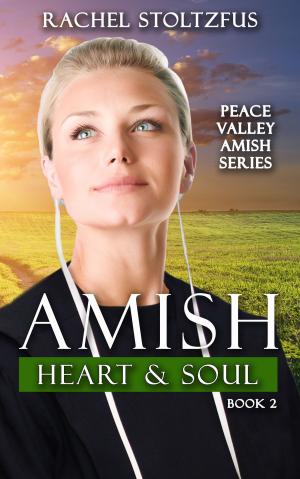 Cover of the book Amish Heart and Soul by Ruth Price