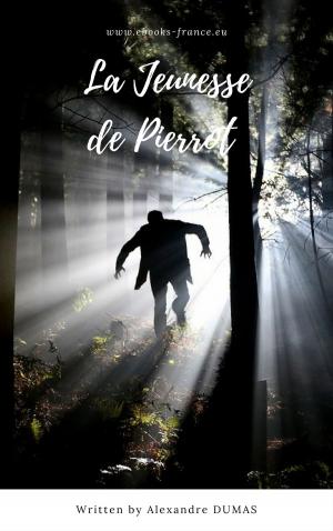 Cover of the book La jeunesse de Pierrot by 小栗虫太郎