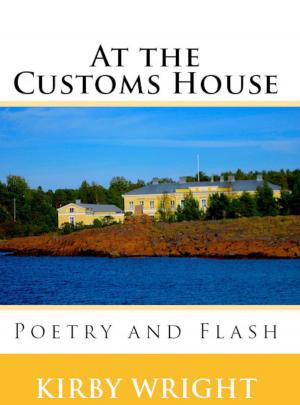 Book cover of AT THE CUSTOMS HOUSE