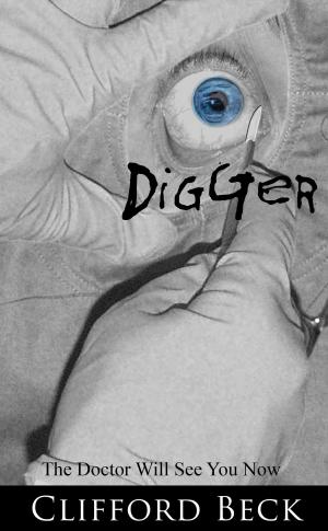 Cover of the book Digger by John Mc Caffrey