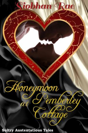 Cover of the book Honeymoon at Pemberley Cottage by Tess St. John