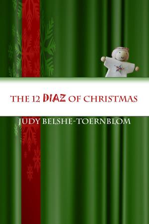 Book cover of The 12 DIAZ of Christmas