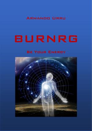 Cover of the book BURNRG by John Barringer