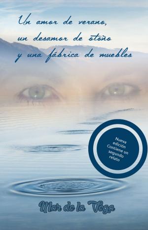 Cover of the book Un amor de verano, un desamor de otoño y una fábrica de muebles by Edwin Louis Cole