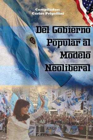 Cover of the book Del Gobierno Popular al modelo neoliberal by David Benson