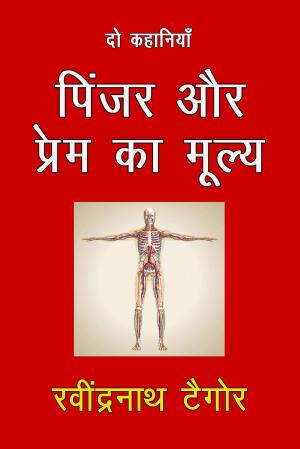Cover of the book Pinjar Aur Prem Ka Mulya by DERRICK ALEXANDER