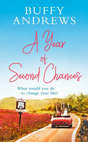 Book cover of A Year of Second Chances