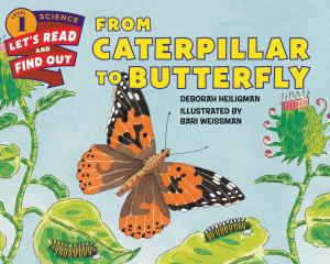 Cover of the book From Caterpillar to Butterfly by Patrick Jennings