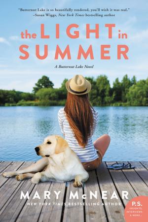 Cover of the book The Light In Summer by Jay Crownover