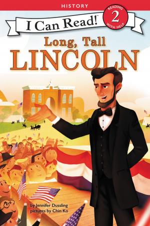 Cover of the book Long, Tall Lincoln by Anne Bradshaw