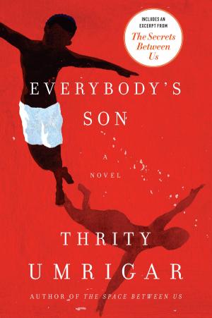 Book cover of Everybody's Son