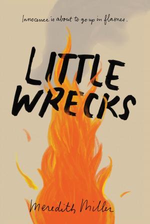 bigCover of the book Little Wrecks by 