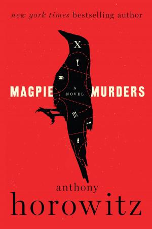 Cover of the book Magpie Murders by Harrison Scott Key