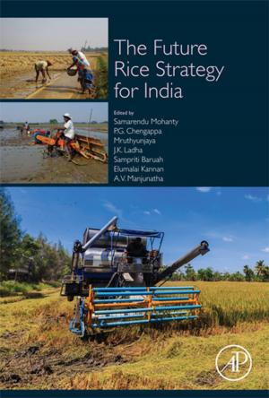 Cover of the book The Future Rice Strategy for India by Eldor A. Paul