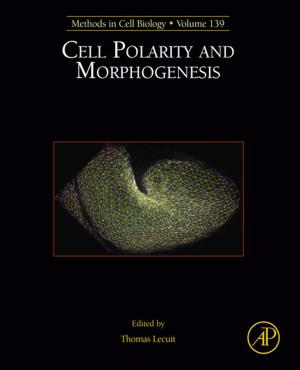 Book cover of Cell Polarity and Morphogenesis