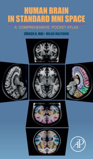 Book cover of Human Brain in Standard MNI Space