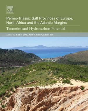 Cover of the book Permo-Triassic Salt Provinces of Europe, North Africa and the Atlantic Margins by 