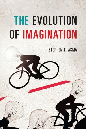 Cover of The Evolution of Imagination