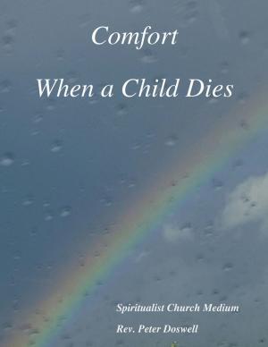 Cover of the book Comfort When a Child Dies by Gary Devore