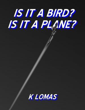 Cover of the book Is It a Bird? Is It a Plane? by Yolandie Mostert
