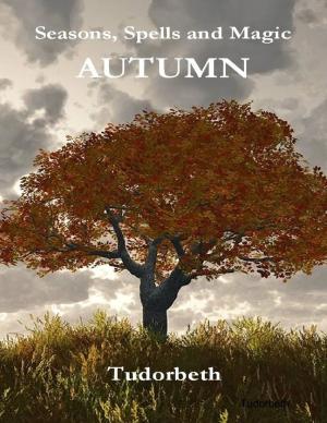 Book cover of Seasons, Spells and Magic: Autumn