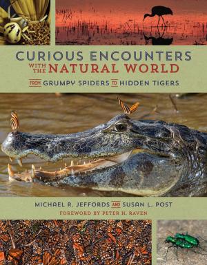 Cover of the book Curious Encounters with the Natural World by Herbert Reid, Betsy Taylor