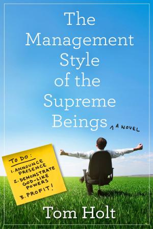 Book cover of The Management Style of the Supreme Beings